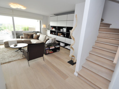 Duplex