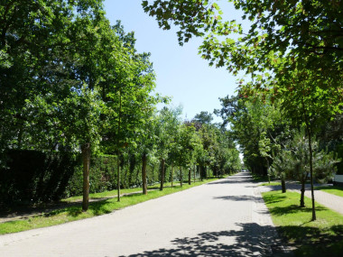 Zoutelaan