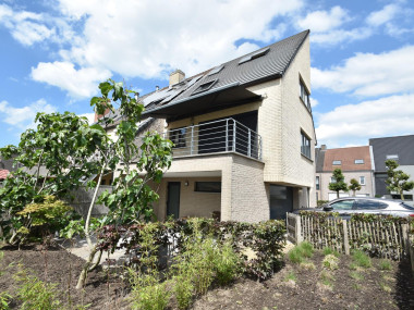 Esdoorn 44