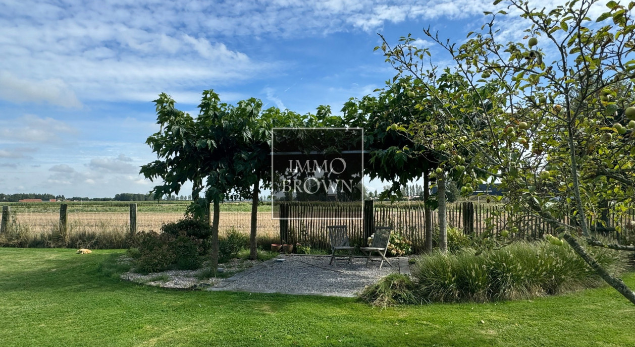 recent-verbouwde-hoeve-met-atelier-6144647-202511161814-8