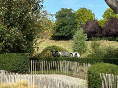 Retranchement tuin natuur