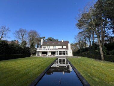 Boslaan groene omgeving