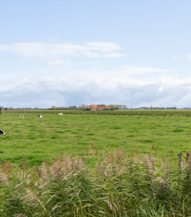 zicht op de velden in de Polders van Knokke vanuit een villa te koop bij Immo Brown