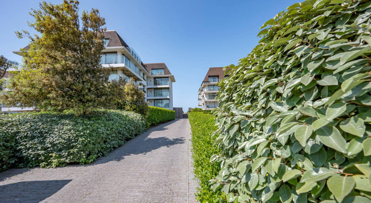 gelijkvloers-terrassen-duinen-7695643-202608141742-14