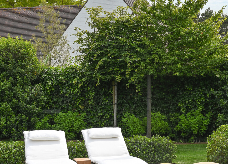 beukendreef-zwembad-poolhouse-7743466-202606220845-13