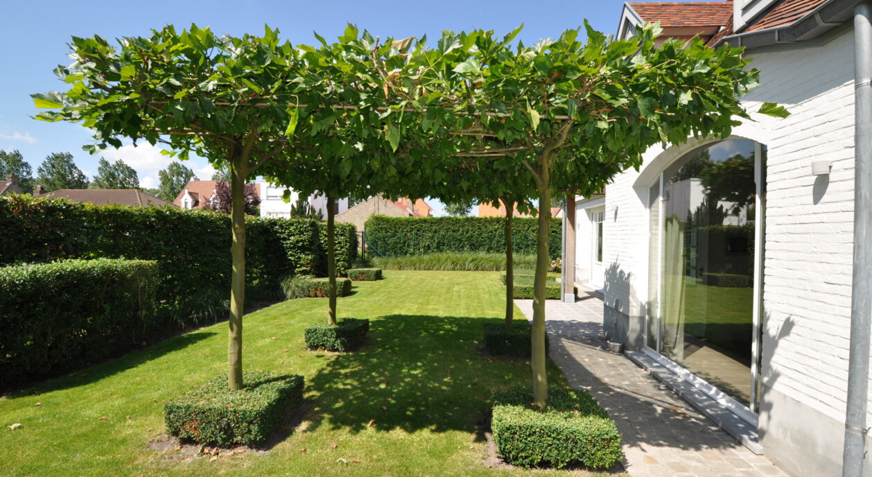dubbele-garage-gastenverblijf-7727156-202606082145-14