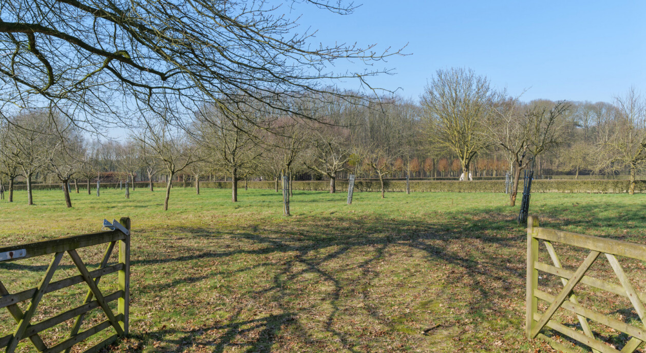 kasteel-les-gobelets-waasmunster-7727058-202606081825-11