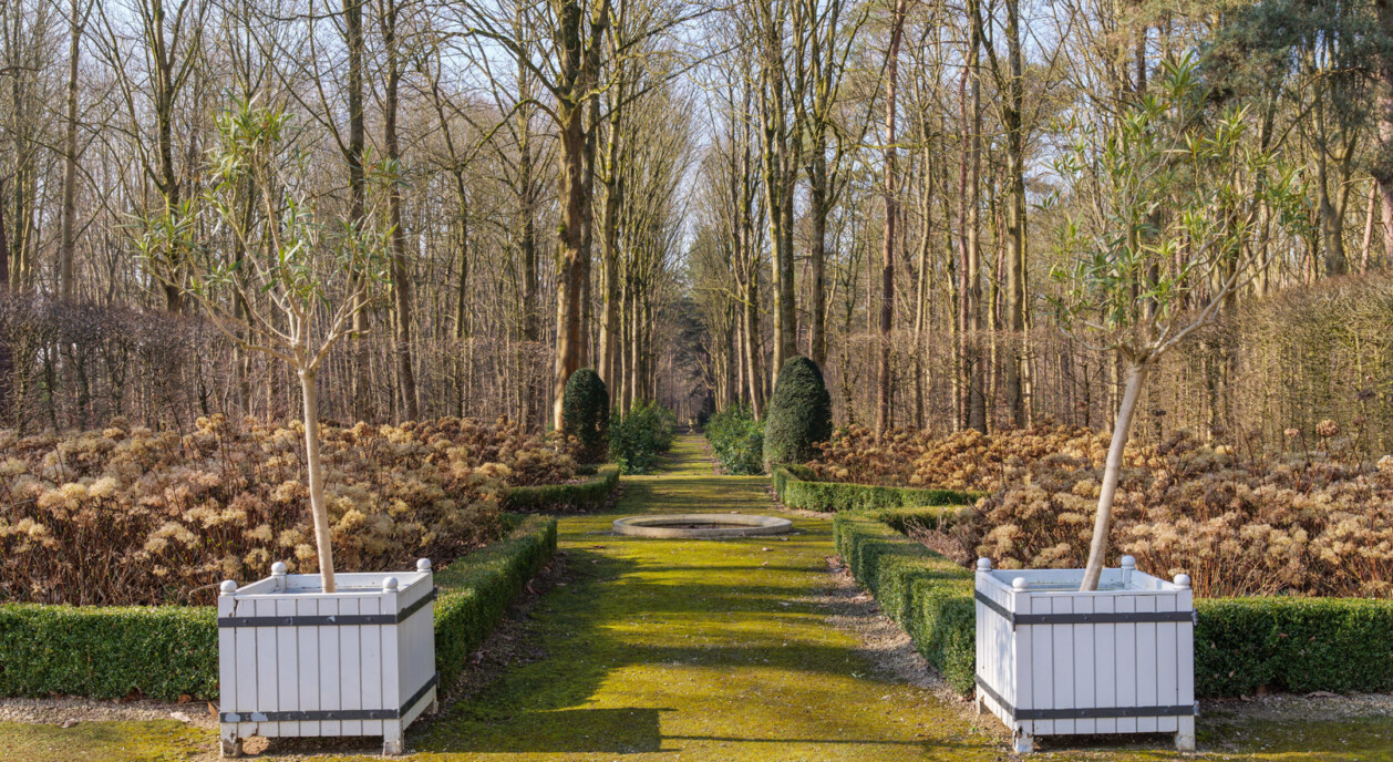 kasteel-les-gobelets-waasmunster-7727058-202606081825-6