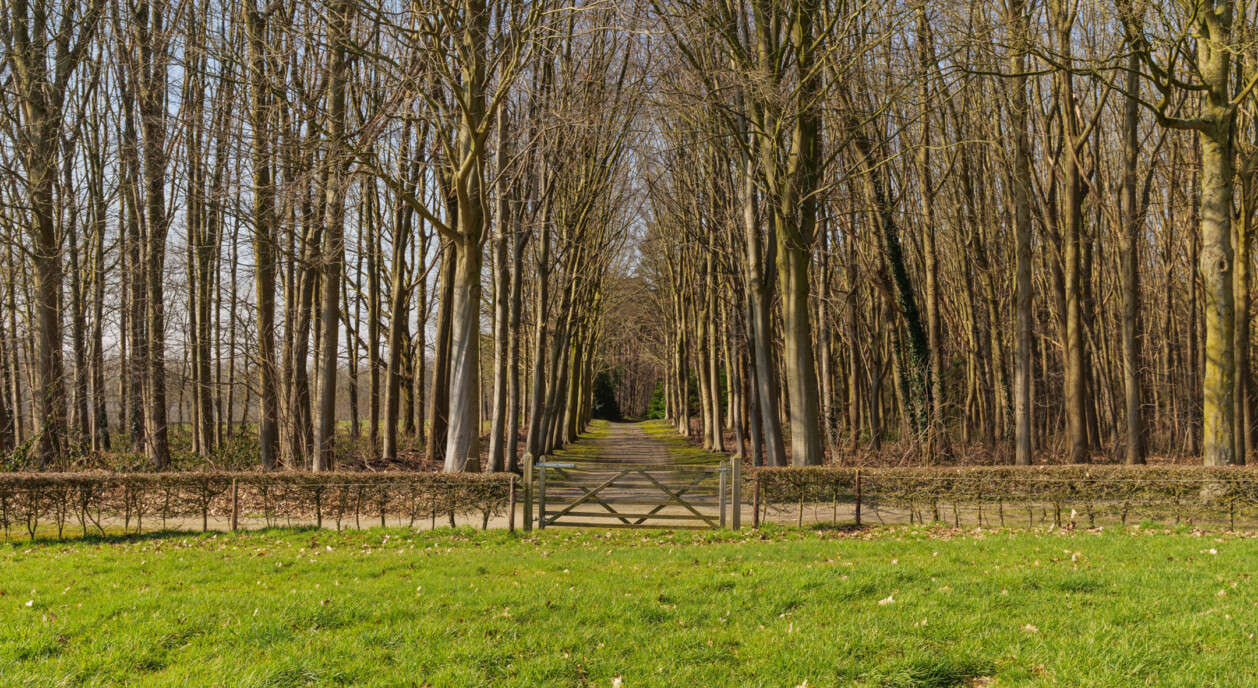 kasteel-les-gobelets-waasmunster-7727058-202606081825-7