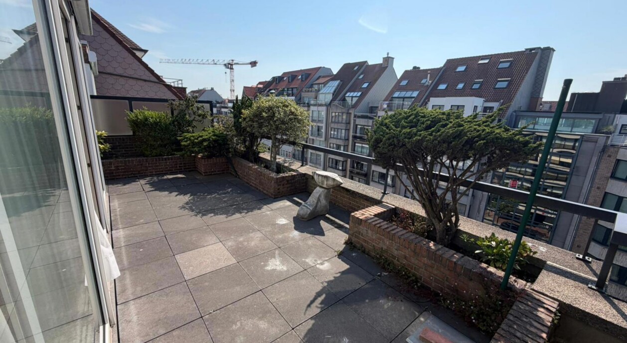 lippenslaan-ruime-terrassen-7774984-202607140948-1