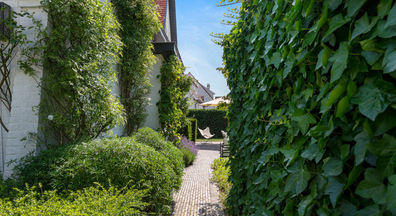 magere-schorre-master-suite-7780933-202607091644-22