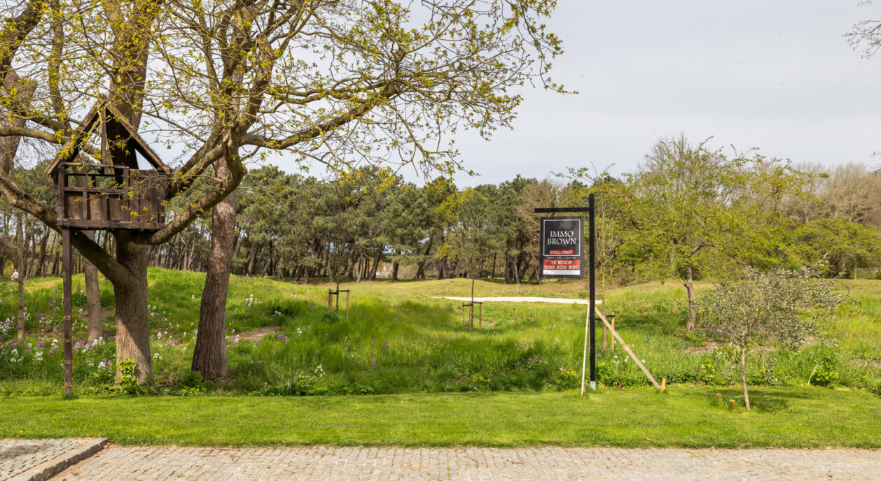 royal-zoute-golf-open-zichten-charmant-7774167-202608271704-23