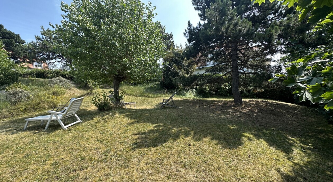 te-renoveren-zuid-tuin-7834460-202608241426-5