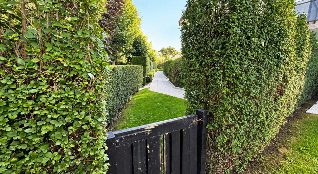 zuid-prive-tuin-7883439-202609271559-10